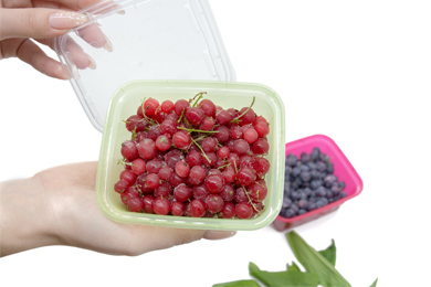 IK 85043000 (киви) kiwi3.jpg